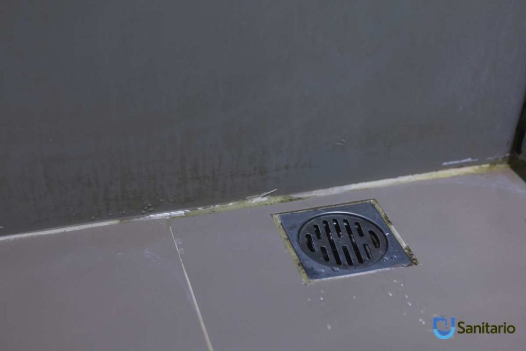 Pileta de patio tapada o con olor: cómo limpiarla y cuándo hay que cambiarla